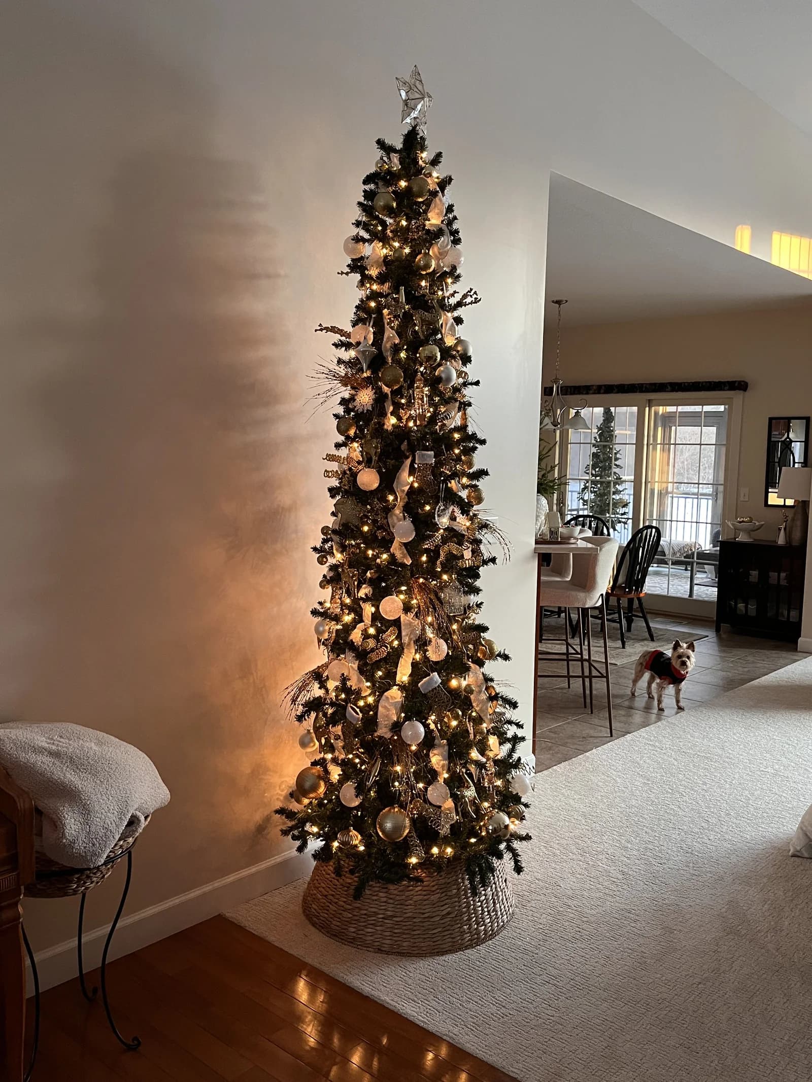 Tall pencil Christmas tree with warm lights, gold and white ornaments and ribbon, standing in a woven tree collar against a plain wall